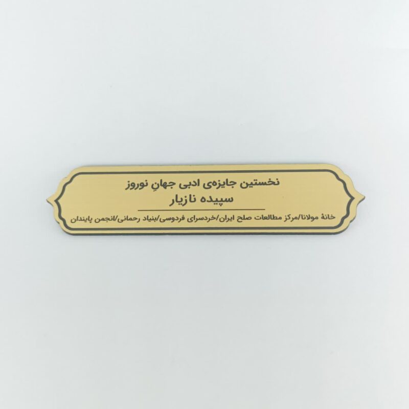 مولتی استایل